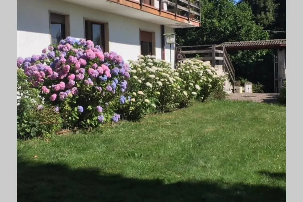 Villa Immersa Nel Verde A Lanzo dʼIntelvi Italien